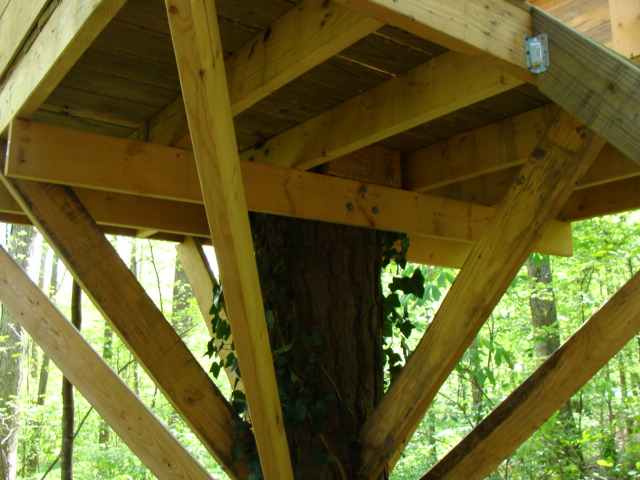Support structure