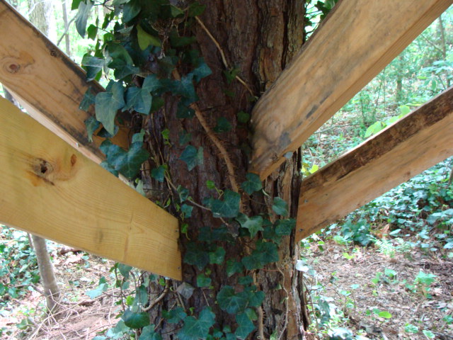 Support structure