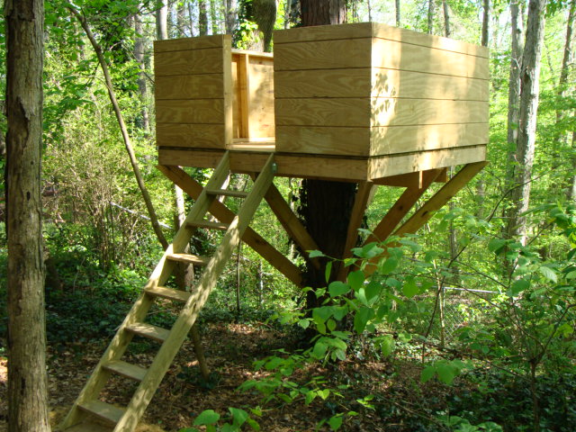 Tree house