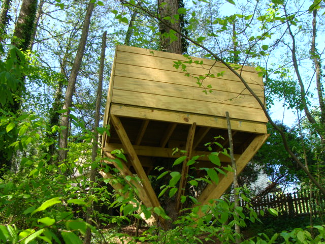 Tree house