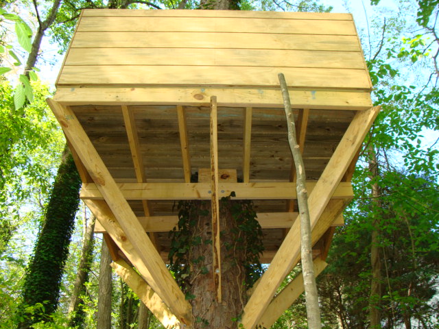 Tree house