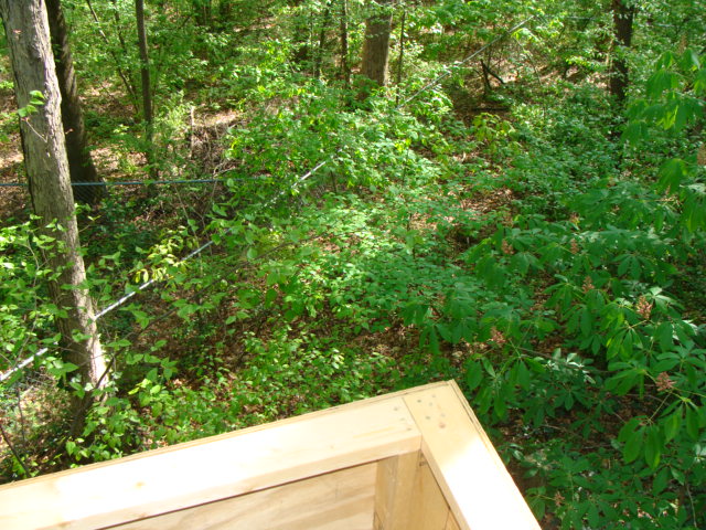 11 foot drop off the back