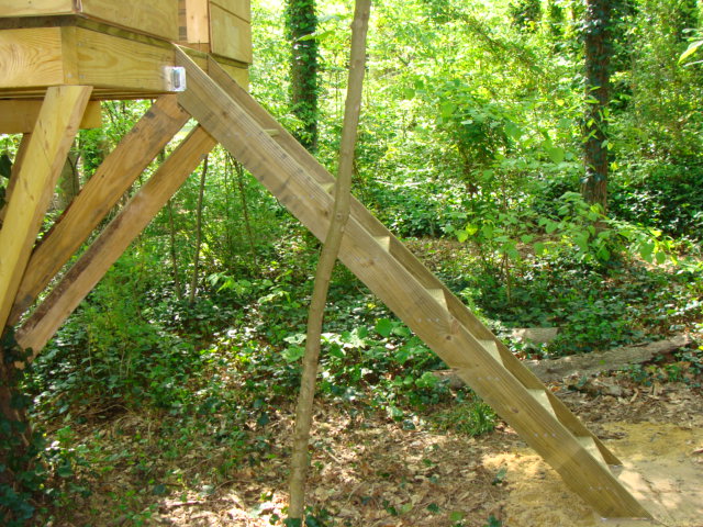 Ladder