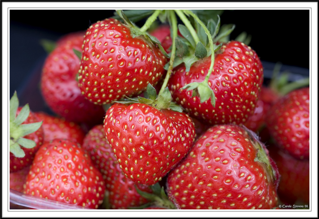 Strawberry picking!