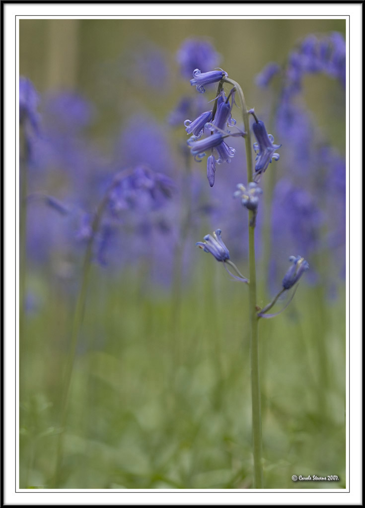 Fading blue!
