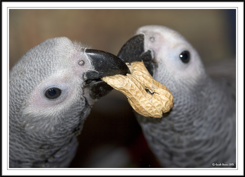 Sharing 1st peanut together!
