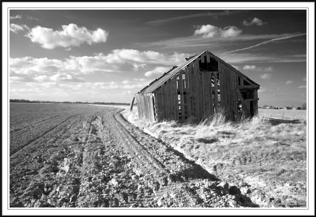 The old barn!