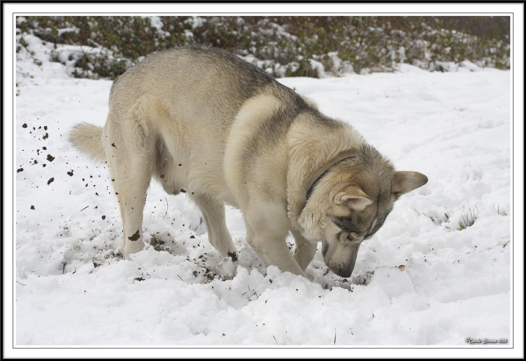 I found the soil again Mum