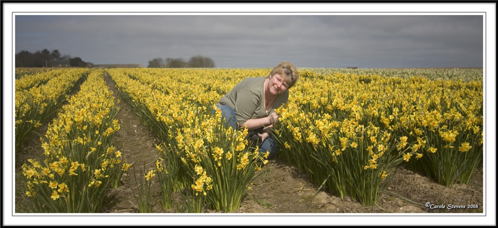 Our little daffoldil!