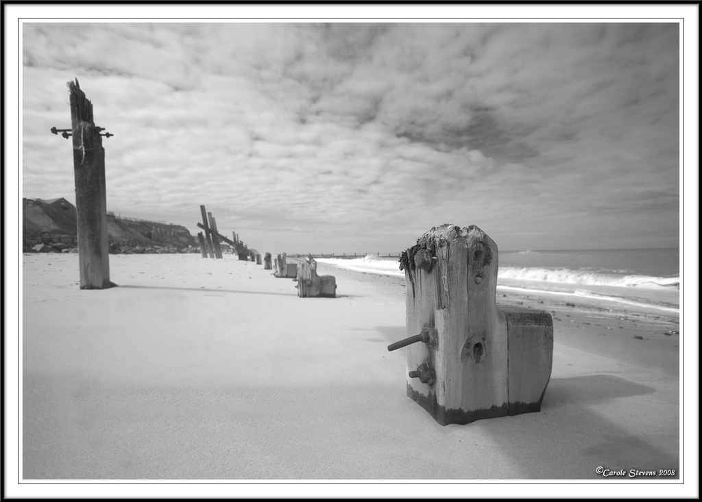 Weatherbeaten groynes!