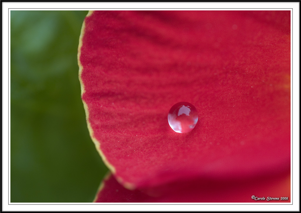 Just a drop!