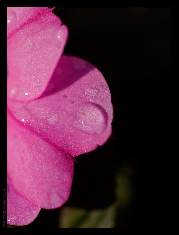 June 19th: Like a drop of water