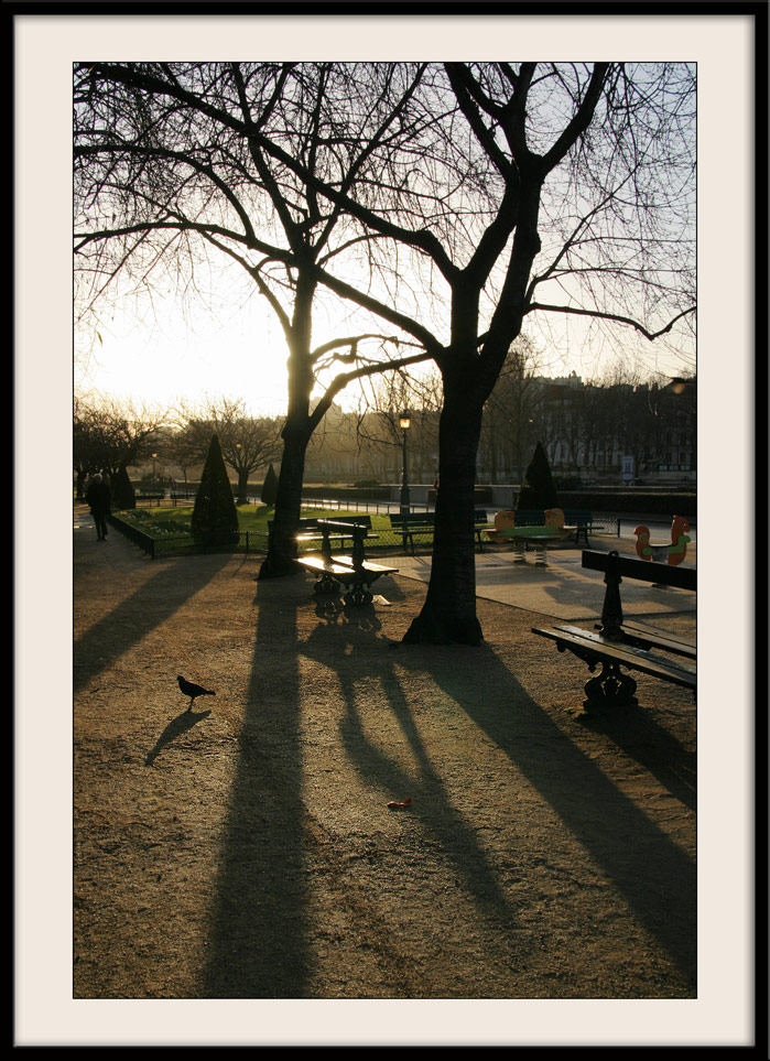 Paris le matin