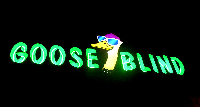 Goose Blind