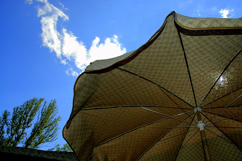 Made in the Shade