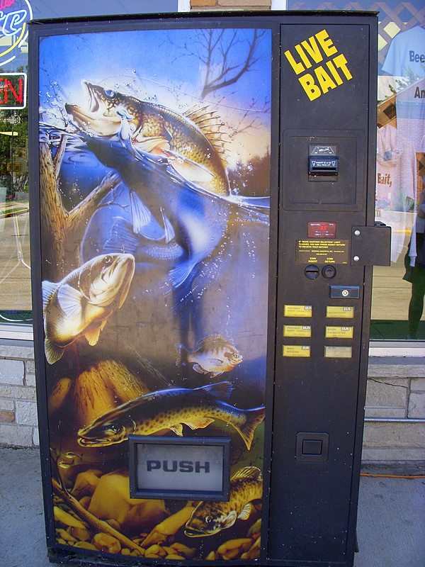 LIve Bait