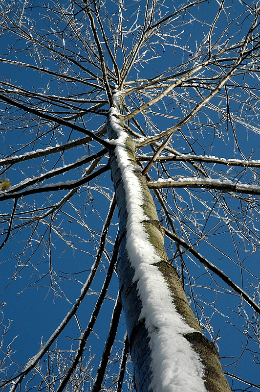 A Different View