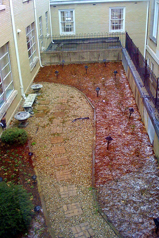 Rose Garden in Winter