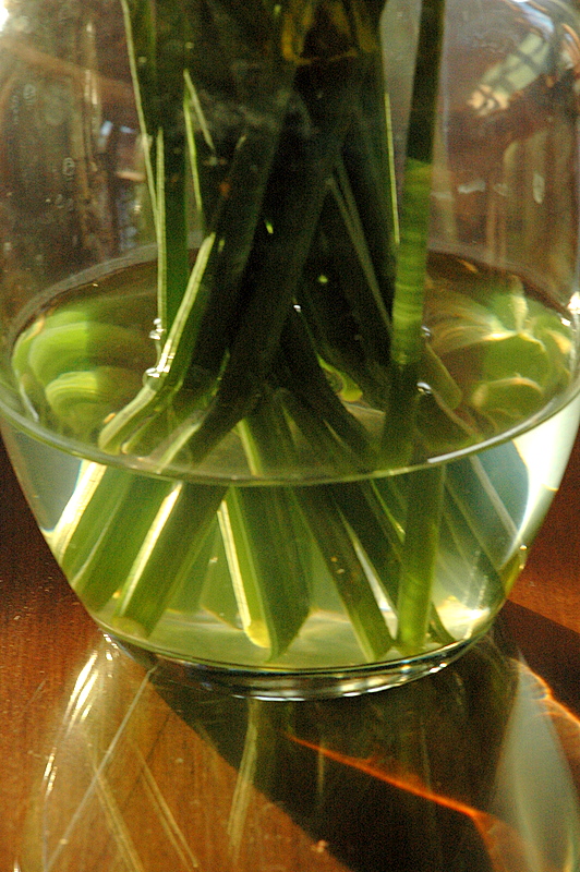 Green in Water
