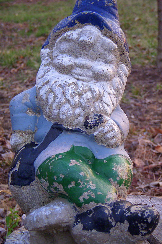 My Own Leprechaun. . er..... Gnome
