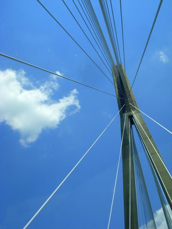 Bridge Looking Up