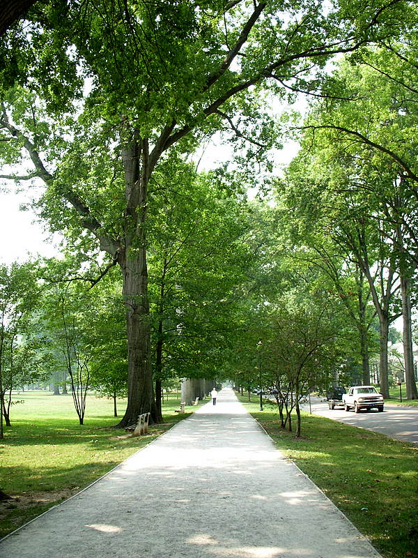 A Walk in the Park