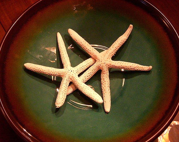 Stars