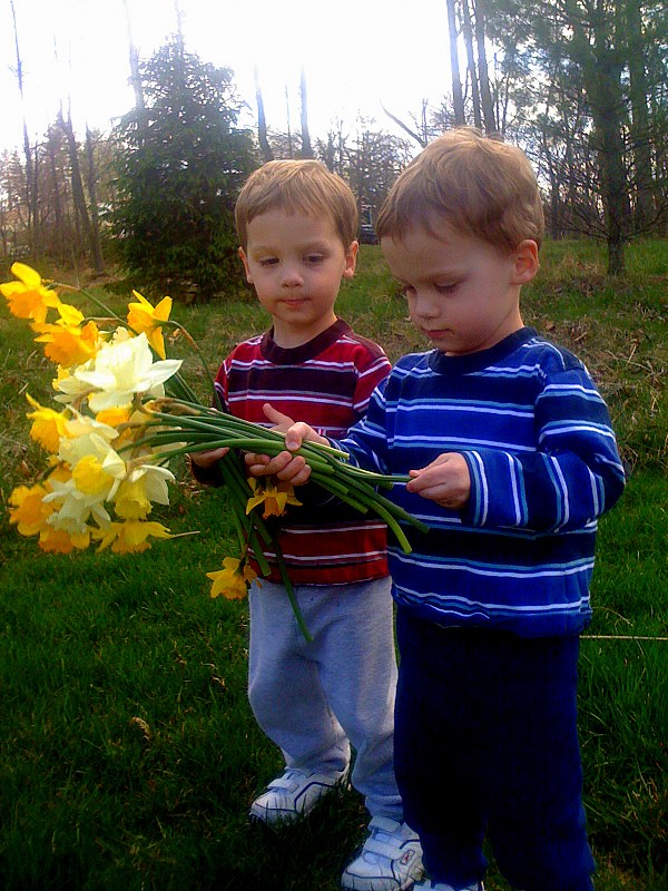 Peace Offering