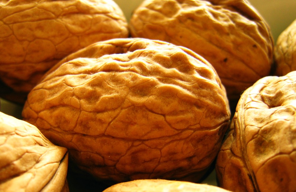 noix<br><b>walnuts</b>