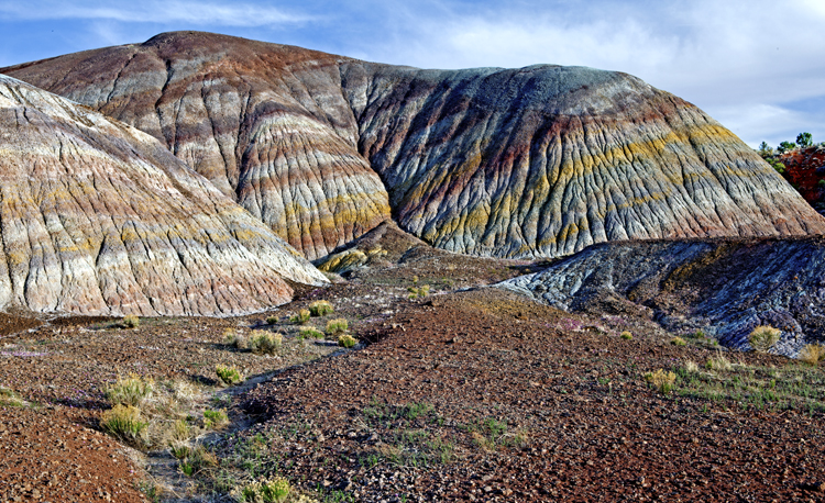 Chinle Formation, Vermillion Cliffs National Monument, AZ