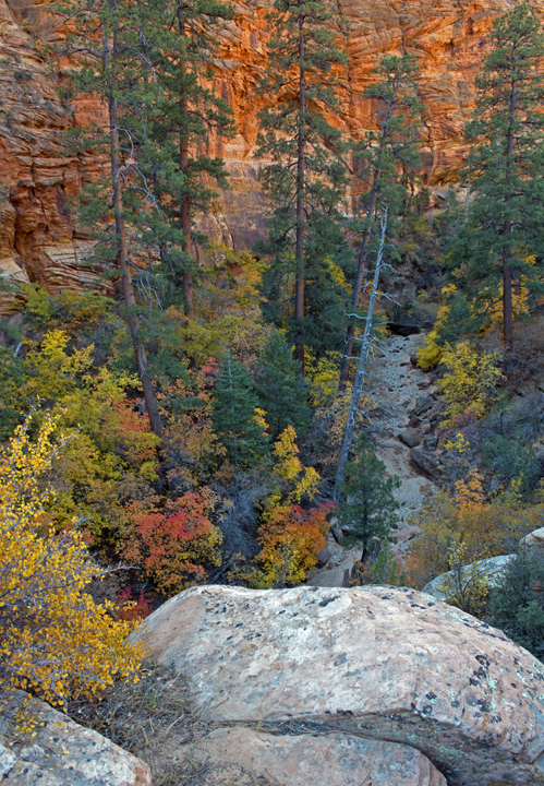 Clear Creek Overlook, Zion National Park, UT