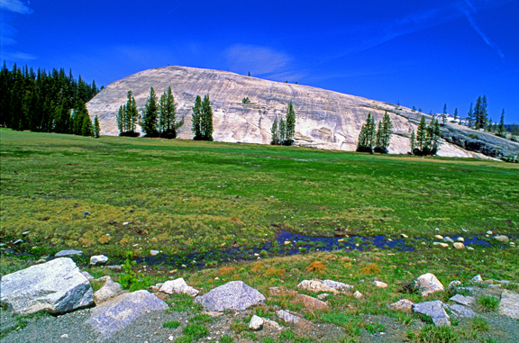 (AG7) Roche moutonnee, Lembert Dome, Yosemite National Park, CA