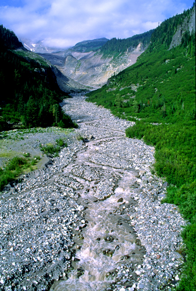 (AG13) Valley train and braided stream below Nisqually Glacier, Mt. Rainier National Park, WA