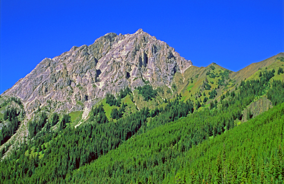 (SG40) Lewis Thrust  at Gap Mountain, gray Rundle Limestone over brown Kootenay Fm., Kananaskis Country, Alberta, Canada