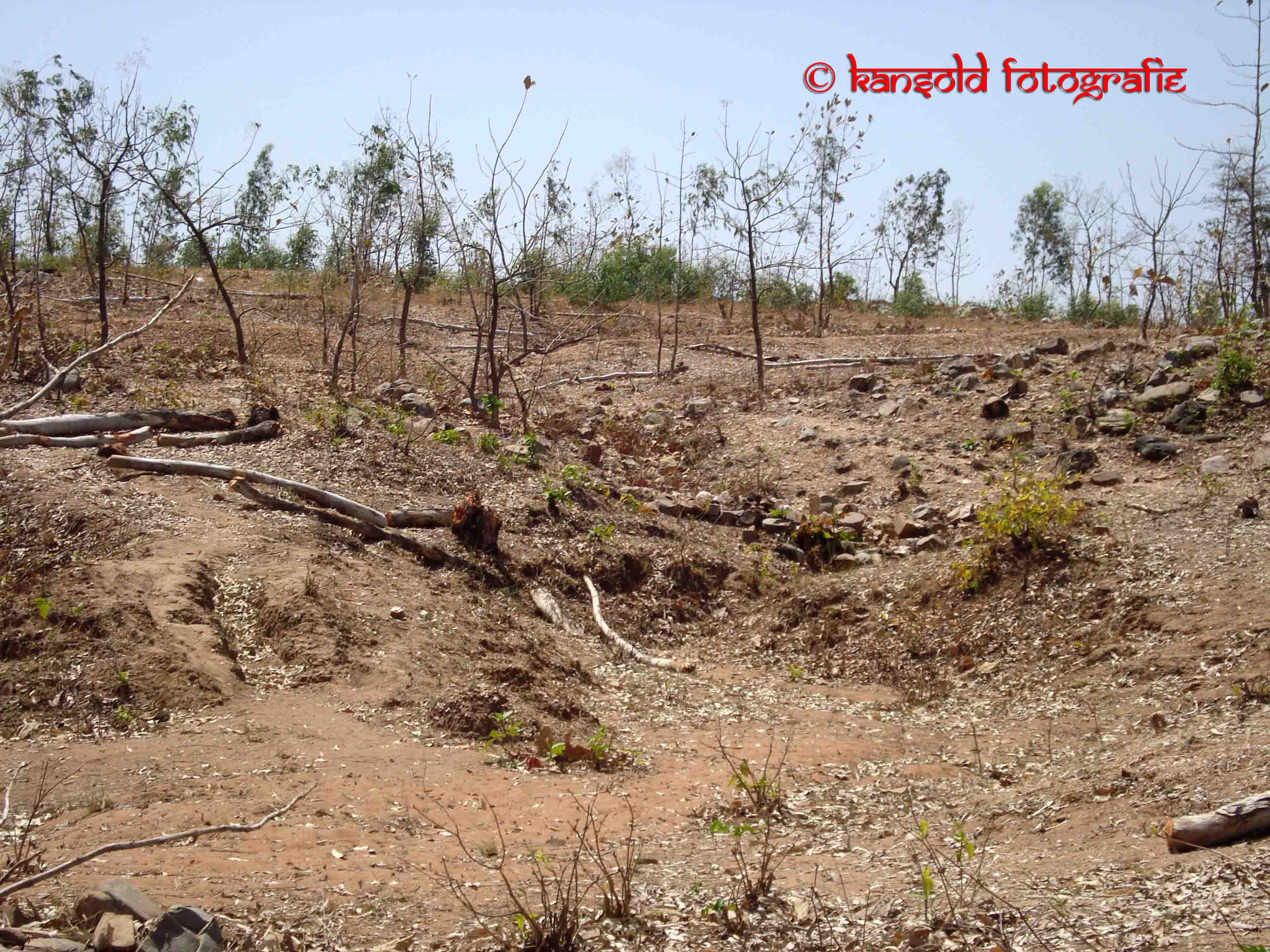 Devgadh Baria (42).JPG