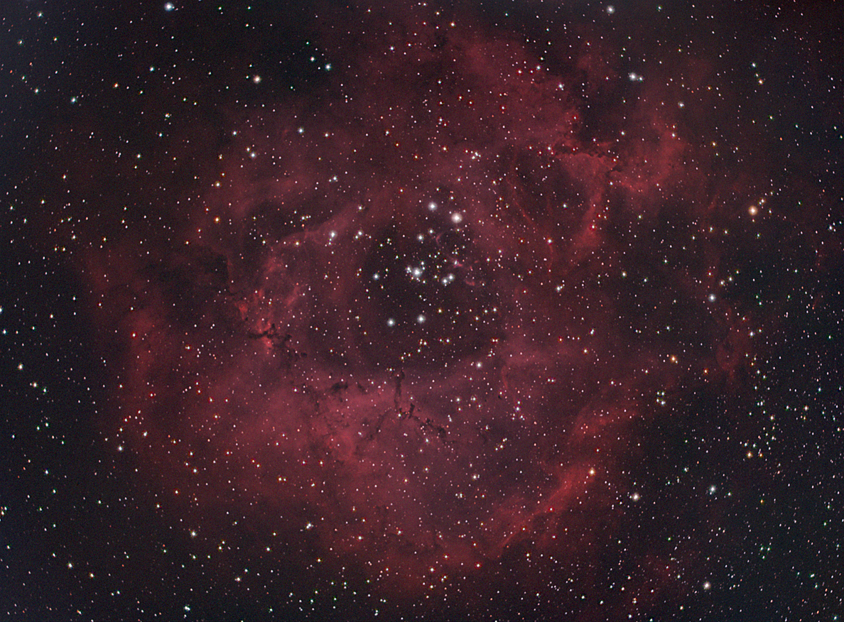 Rosette Nebula (NGC 2244) Ha (HaR)(HaOIIIG)(HaOIIIB)