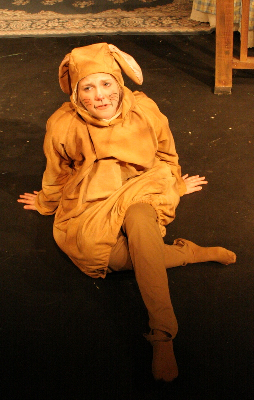 The Velveteen Rabbit