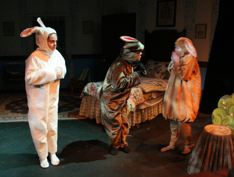 The Velveteen Rabbit