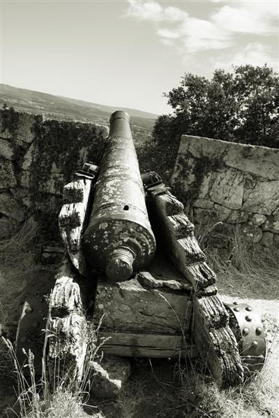 Old cannon