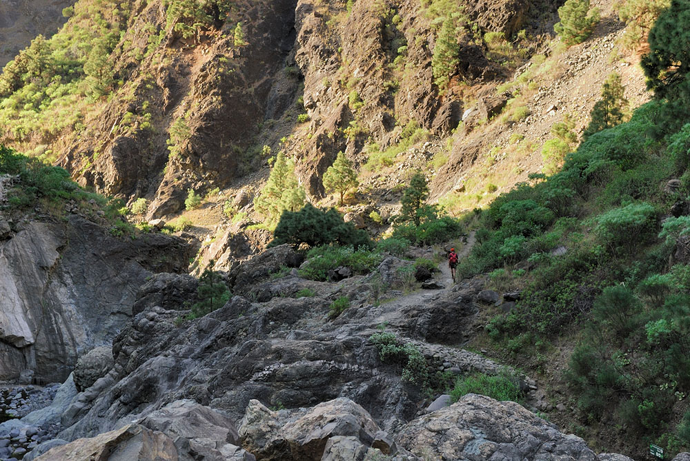 Hiking  Caldera de Taburiente 2