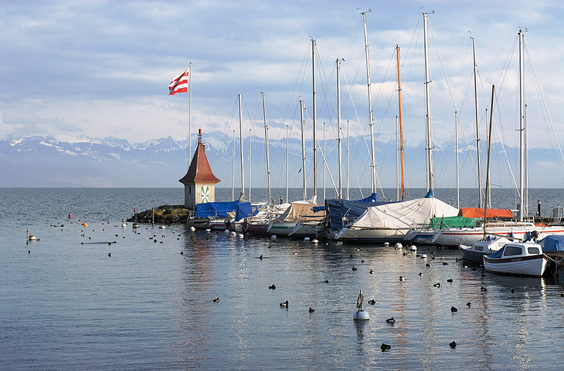 Sailboats in the port