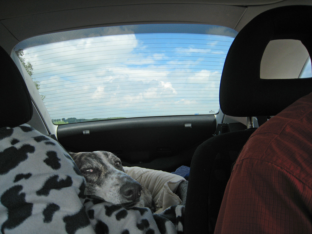 Road trip