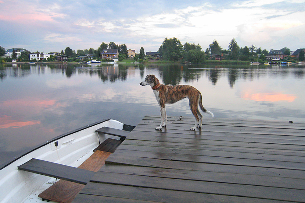 Dock of the lake