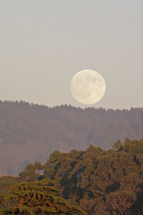 Moonrise at Sunset