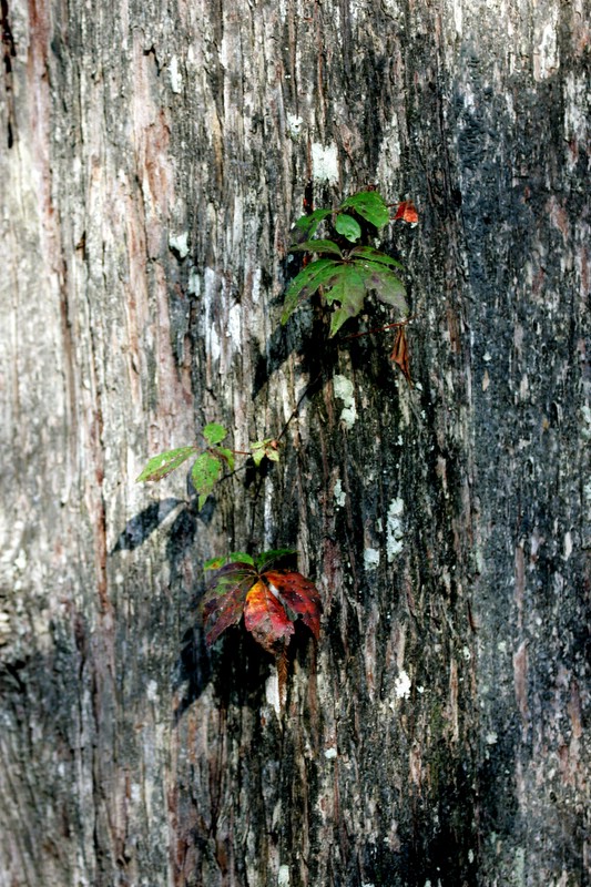 1DMkII_IMG_1843.JPG