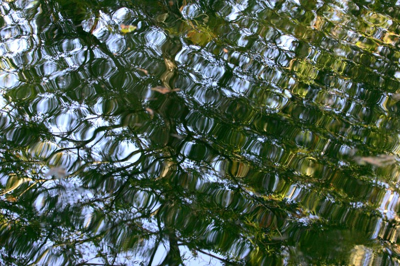 1DMkII_IMG_2070.JPG