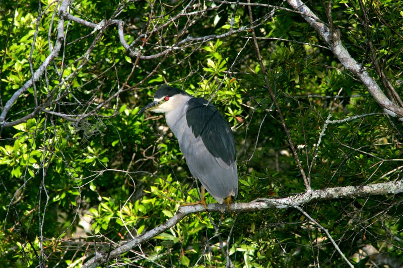 1DMkII_IMG_5025-1.JPG