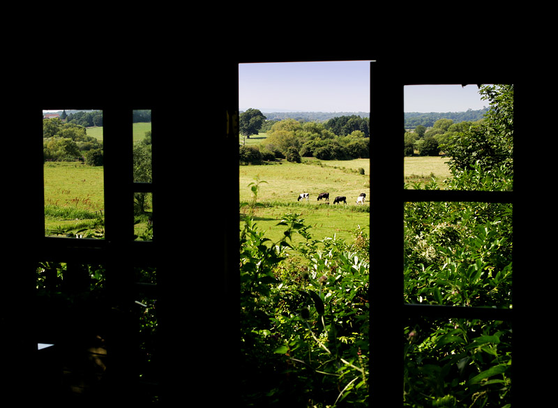 Doo Doo Do --- Lookin Out My Backdoor...