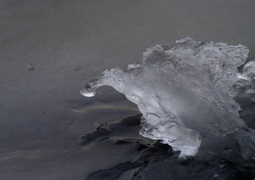frozen moment 114