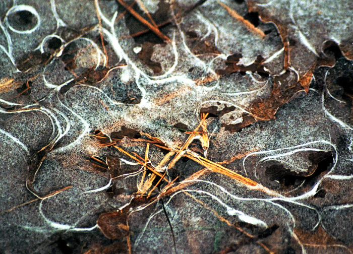 ice art